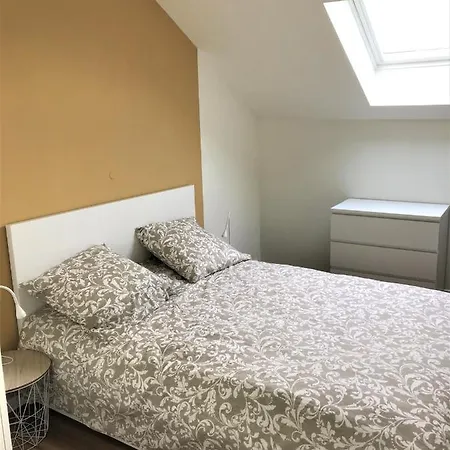 Apartment Hyper-centre Climatisation Renove